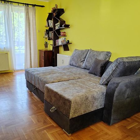 Helena Apartment Novi Sad Esterno foto