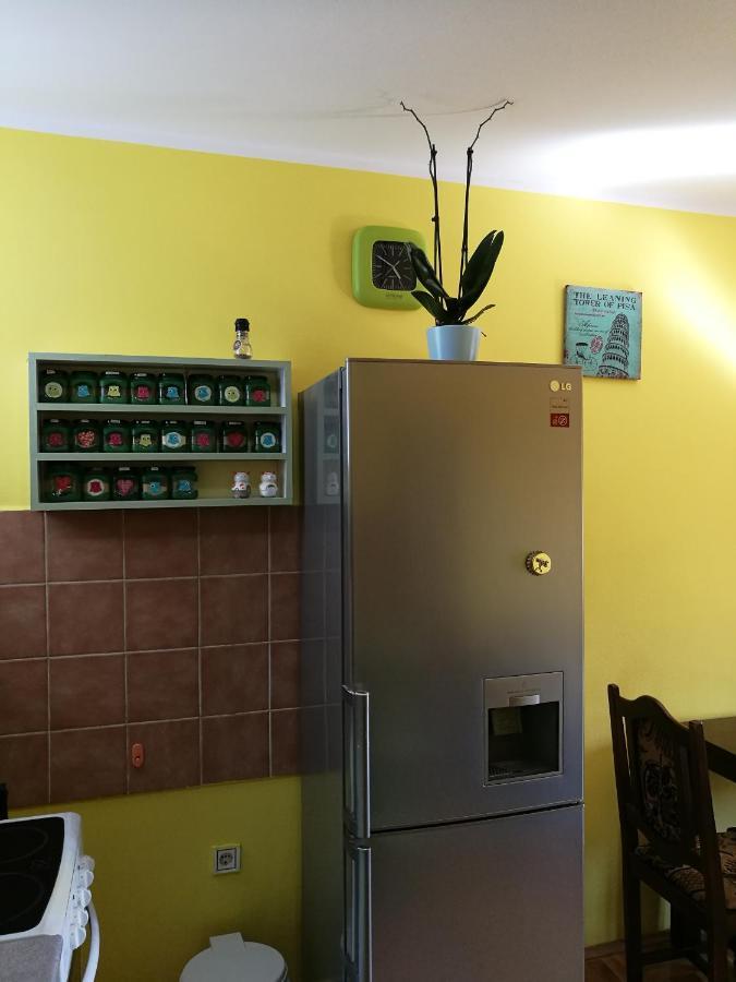 Helena Apartment Novi Sad Esterno foto
