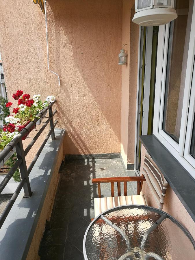 Helena Apartment Novi Sad Esterno foto
