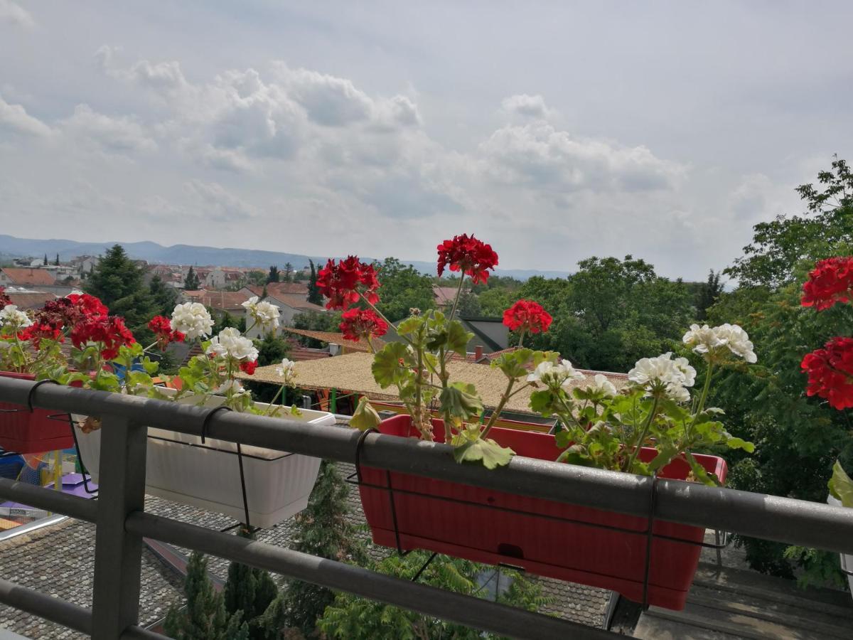 Helena Apartment Novi Sad Esterno foto